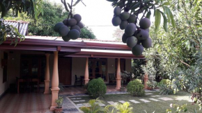 Shan Mango Homestay